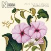 2022 Natural History Botanical Family Calendar (Calendar)
