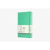Ice Green Large Weekly Hardcover 18 Month Diary 2021-2022 (Diary)