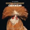 Extraordinary Chickens 2024 Wall Calendar (Calendar)