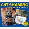 Cat Shaming 2020 Day-to-Day Calendar (Calendar)