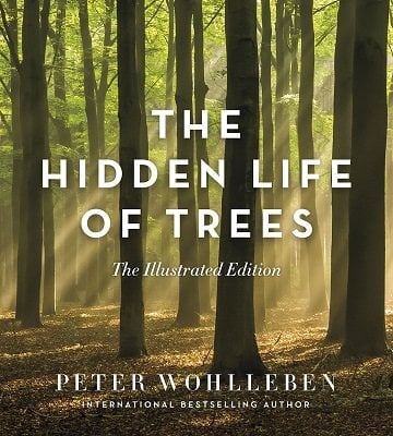 the hidden life of trees paperback