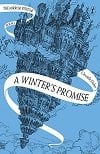 A Winter's Promise - The Mirror Vistor 1 (Paperback)