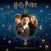 Harry Potter Wall Calendar 2022 (Calendar)