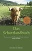 A Bright Idea: Conserving Energy - InfoSearch: You Can Save the Planet (Paperback)