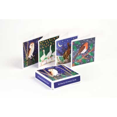Collage Animals Charity Box X20: Christmas Cards