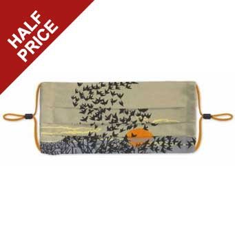 Aerial Manoeuvres reusable face mask