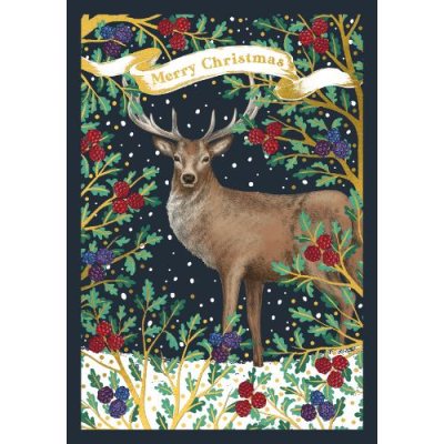 Happy Christmas Deer Card | Waterstones