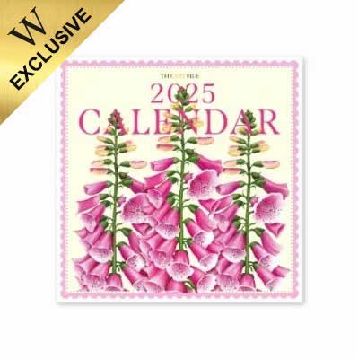 2025 Colourburst Wall Calendar