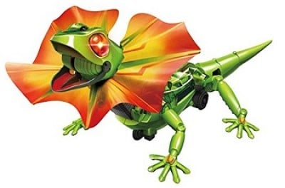 Frilled Lizard