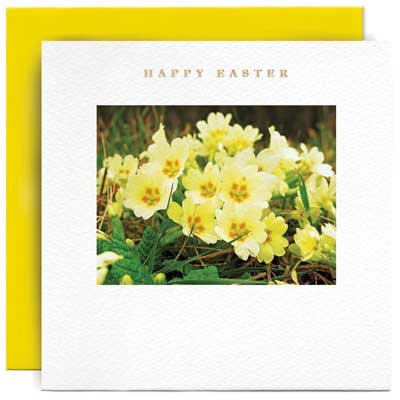 Primroses Happy Easter Card