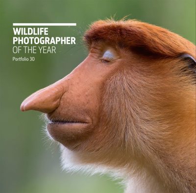 Wildlife Photographer of the Year: Portfolio 30, Volume 30 - Wildlife Photographer of the Year (Hardback)