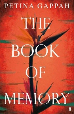 The Book of Memory (Hardback)