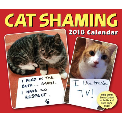 Cat Shaming 2018 Day-to-Day Calendar (Calendar)