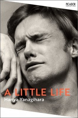A Little Life - Picador Collection (Paperback)