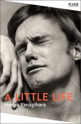 Cover of the book A Little Life