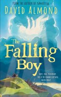 The Falling Boy (Hardback)