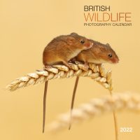 2022 British Wildlife Wall Calendar