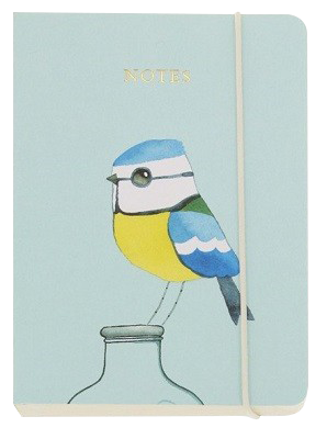 Matt Sewell Blue Tit Pocket Notebook