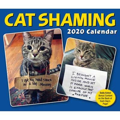 Cat Shaming 2020 Day-to-Day Calendar (Calendar)