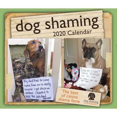 Dog Shaming 2020 Day-to-Day Calendar (Calendar)