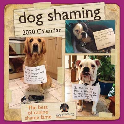 Dog Shaming 2020 Square Wall Calendar (Calendar)