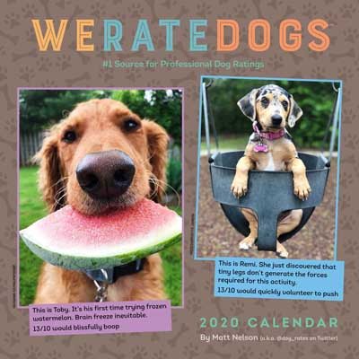 Weratedogs 2020 Square Wall Calendar (Calendar)